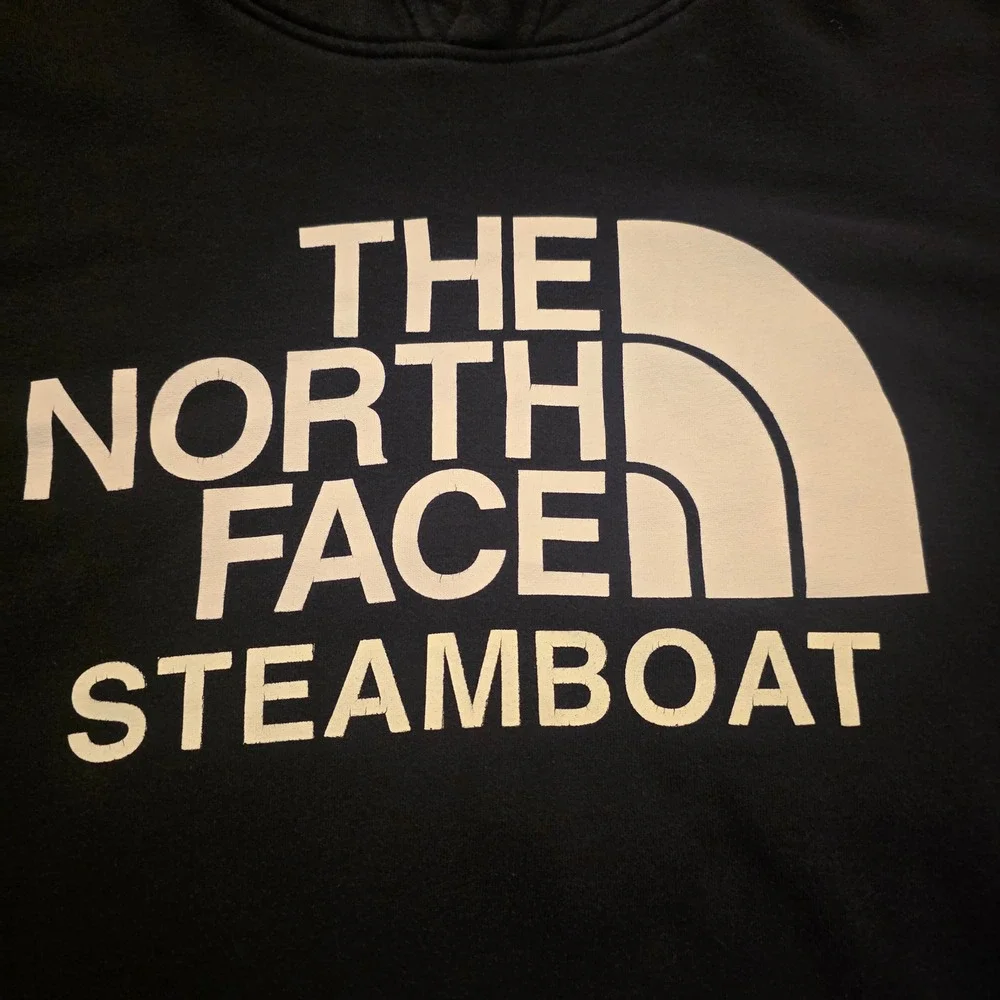 The North Face Steamboat Springs Resort Hoodie Mens Small Navy Blue Pullover